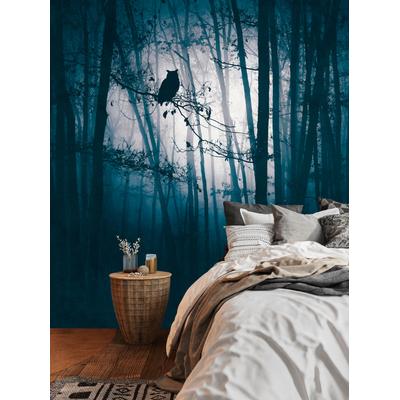 Fototapete LIVING WALLS "THE WALL III Wald-Tapete Motivtapete Eule Wald", blau (blau,schwarz), B:2,8m H:0,02m L:3,71m, Vlies, Tapeten, Vliestapete Landschaft für Schlafzimmer Küche Wohnzimmer Wald Design