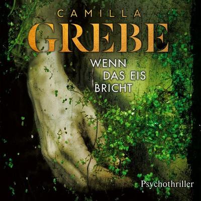 Wenn das Eis bricht - Camilla Grebe, Audio, 4260158977654