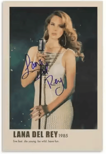 Inspire Picks Lana Del Rey Aesthetic Poster Album Cover Canvas Wall Art 16 30x40cm No Frame