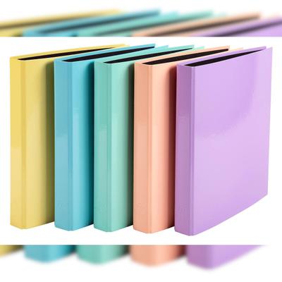 Exacompta 54560E 10x Ringbuch A4, 2 Ringe in D-Form 25mm, Serie Aquarel - Farben sortiert