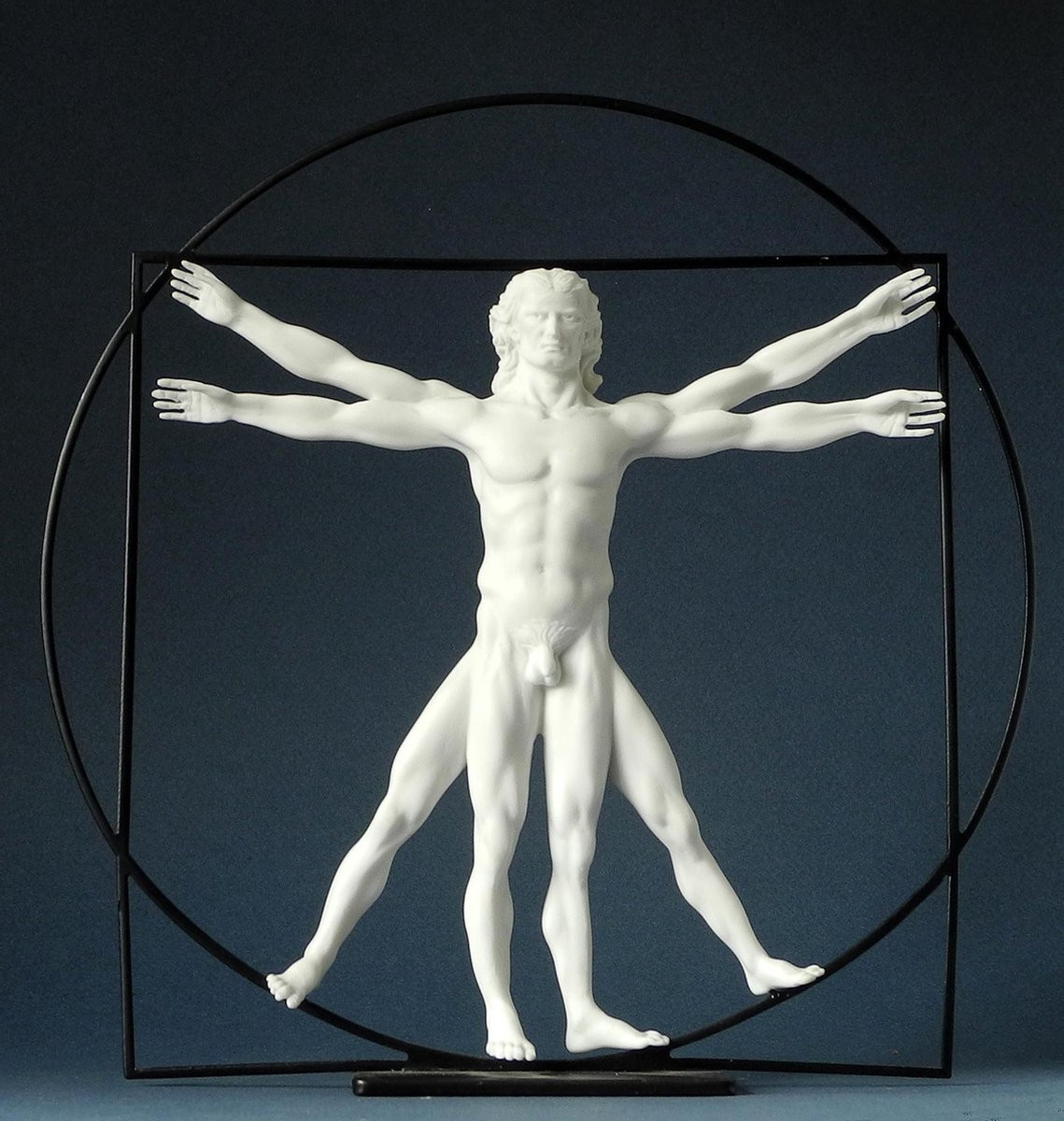 Leonardo Da Vinci L'Homme de Vitruve decoratie, Hoogte: 42 cm