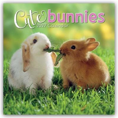 Cute Bunnies – Niedliche Kaninchen 2027 – 16-Monatskalender