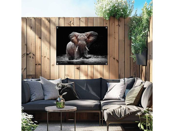 Poster extérieur éléphant PVC Marron/Marron 60 x 80 x 0cm