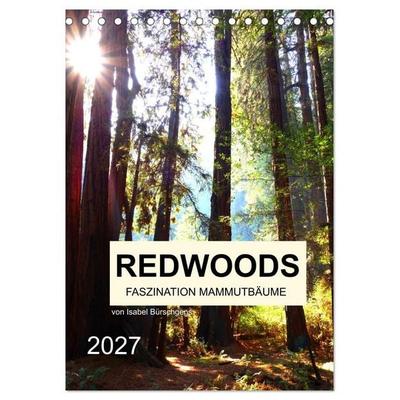 Redwoods - Faszination Mammutbäume (Tischkalender 2027 DIN A5 hoch), CALVENDO Monatskalender