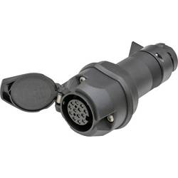 SecoRüt 50220 LED-Beleuchtungsadapter [Steckdose 13polig - Stecker 13polig]
