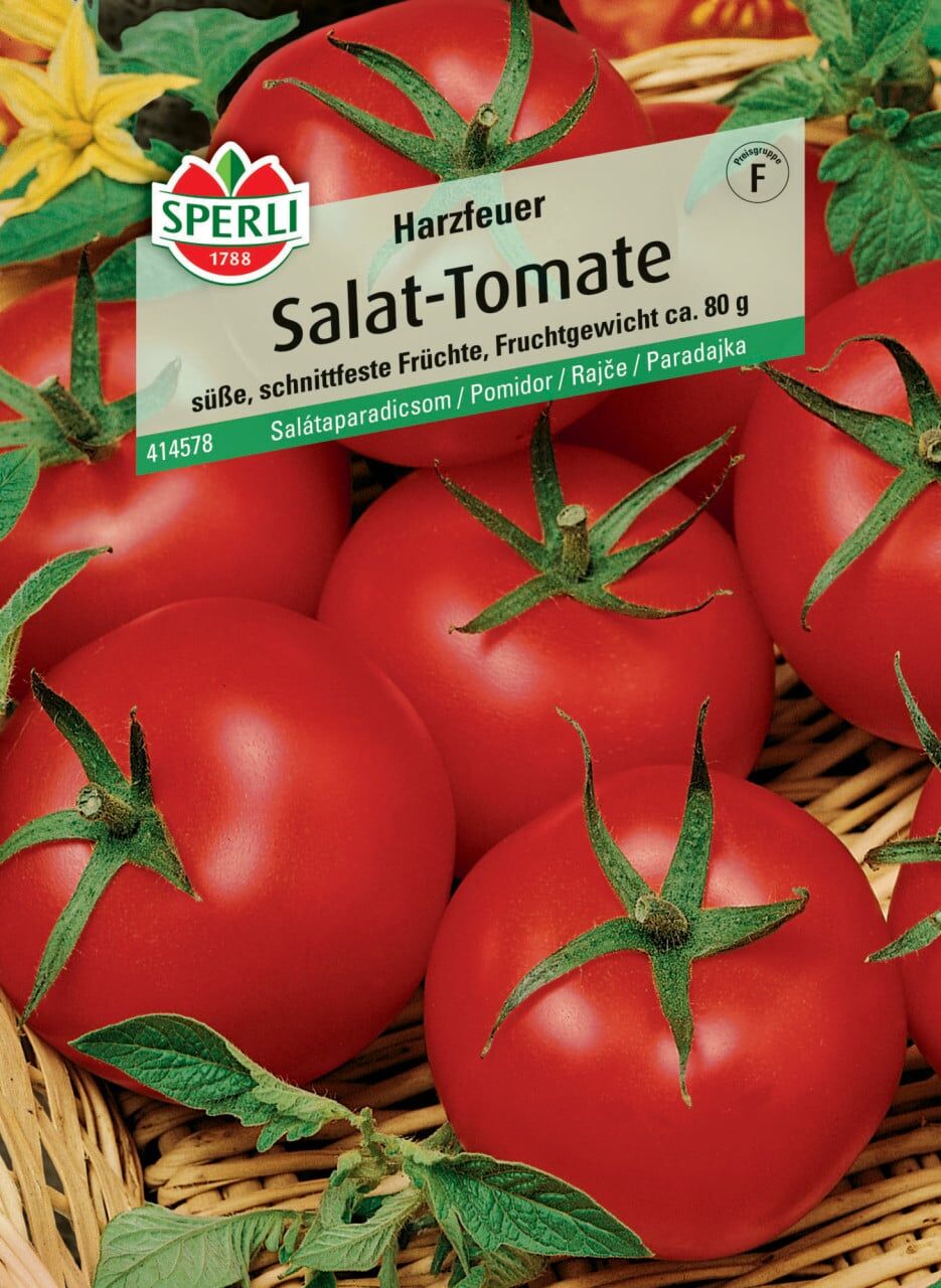 Sperli Salat-Tomate Harzfeuer F1