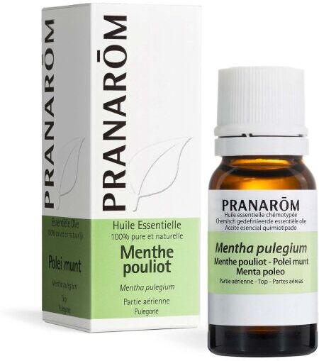 Pranarom Pennyroyal Mint Essential Oil 10 ml 10 ml