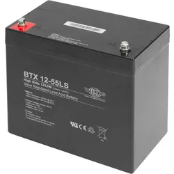 Wing BTX12-55LS 12V 55Ah high rate hochstromfähig Bleiakku AGM Blei Gel Akku