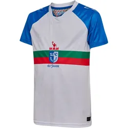 hummel 1.FC Magdeburg 60-Jahre Sondertrikot 2025/26 Kinder 9548 - white/princess blue 128