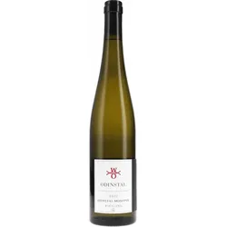 Riesling GG, Monopol Odinstal 2022 BIO