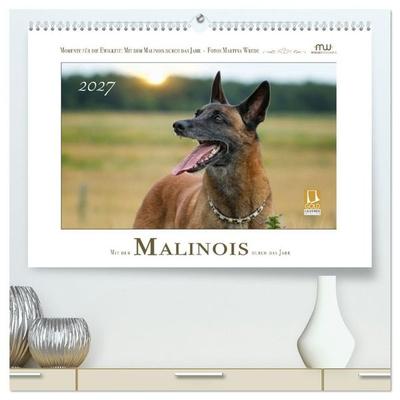 Mit dem Malinois durch das Jahr (hochwertiger Premium Wandkalender 2027 DIN A2 quer), Kunstdruck in Hochglanz