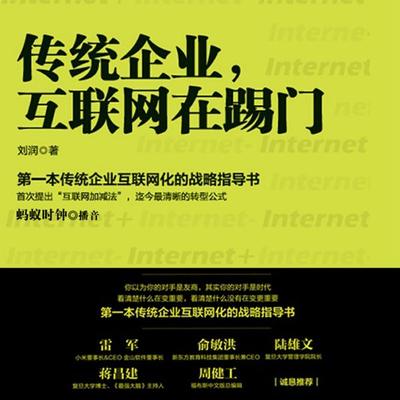 传统企业，互联网在踢门 - 刘润, Audio, 4099995950397