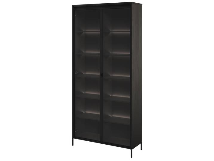 Zweiflügeliger Trend-Schrank 92 cm mit LED Schwarz