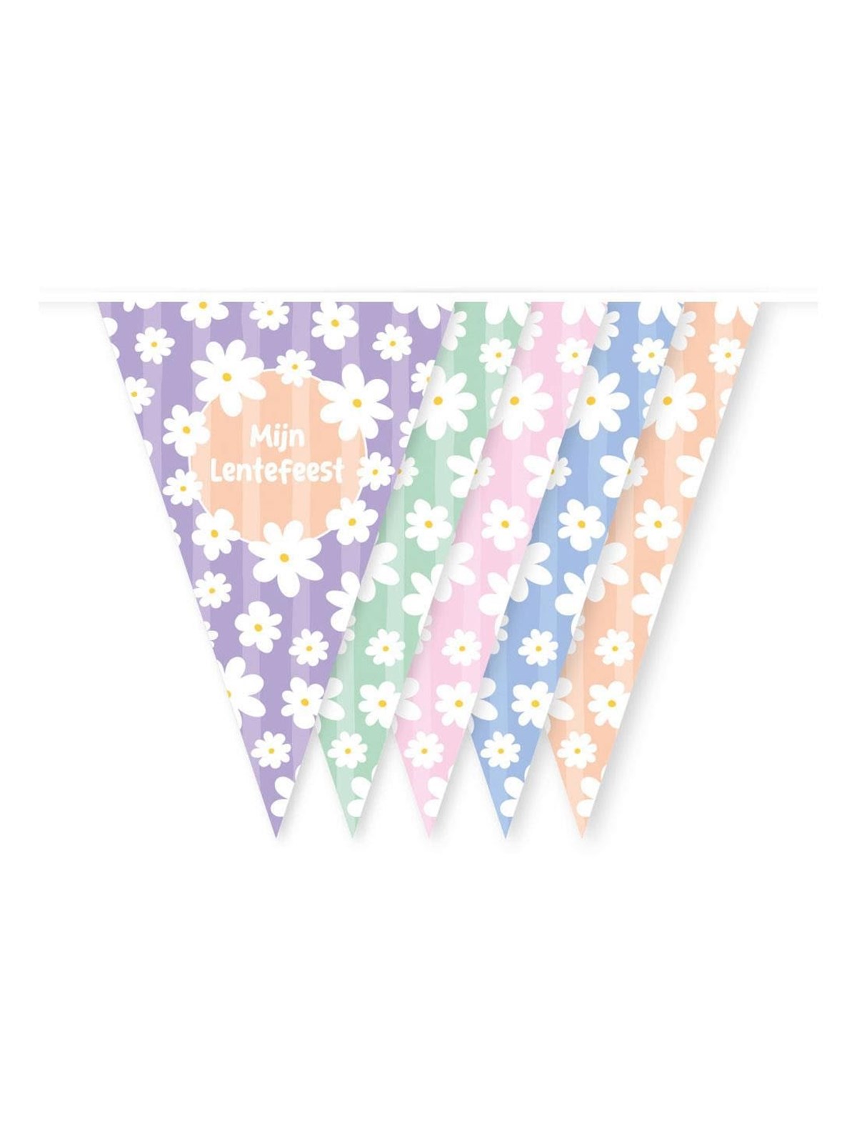 Globos Daisies Bunting My Spring Celebration - 10m