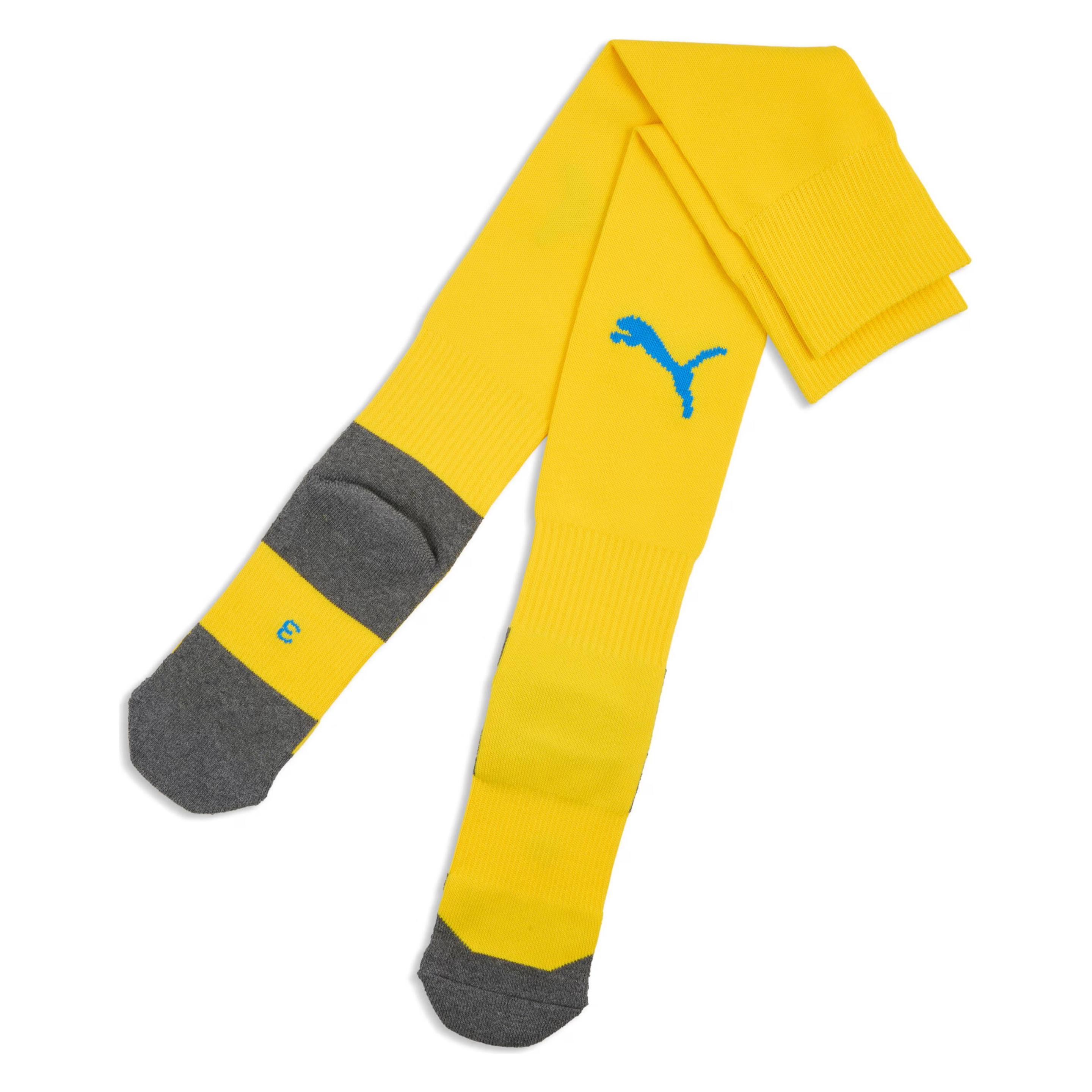 Puma teamLIGA26 Socks Core (47 - 49) (707064)