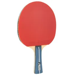 JOOLA Team Premium Tischtennisschläger