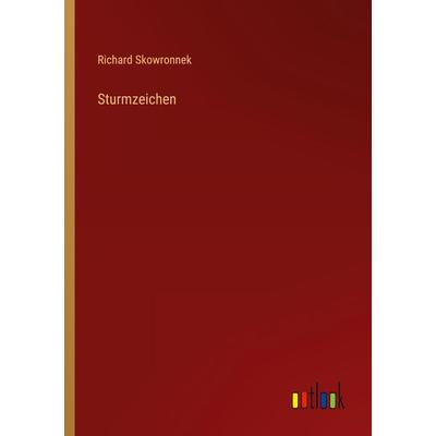 Sturmzeichen, Taschenbuch von Richard Skowronnek, Outlook, 978-3-368-41808-3