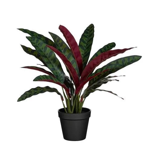 Mica Decorations kunstplant Calathea groen