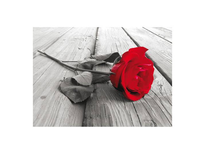 Red Rose\, Photo Murale Intissée\, 155x110 Cm\, 1 Part