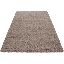 Hochflorteppich Life Beige Beige/Braun ca. 300x400cm