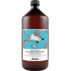 Davines Naturaltech Well-Being Conditioner 1000 ml