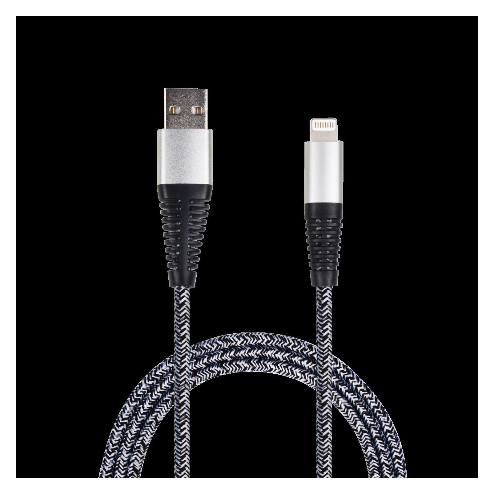 2GO USB A - Lightning (1 m) (795952)