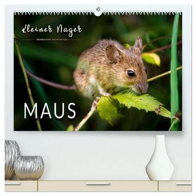 Kleiner Nager - Maus (hochwertiger Premium Wandkalender 2026 DIN A2 quer), Kunstdruck in Hochglanz