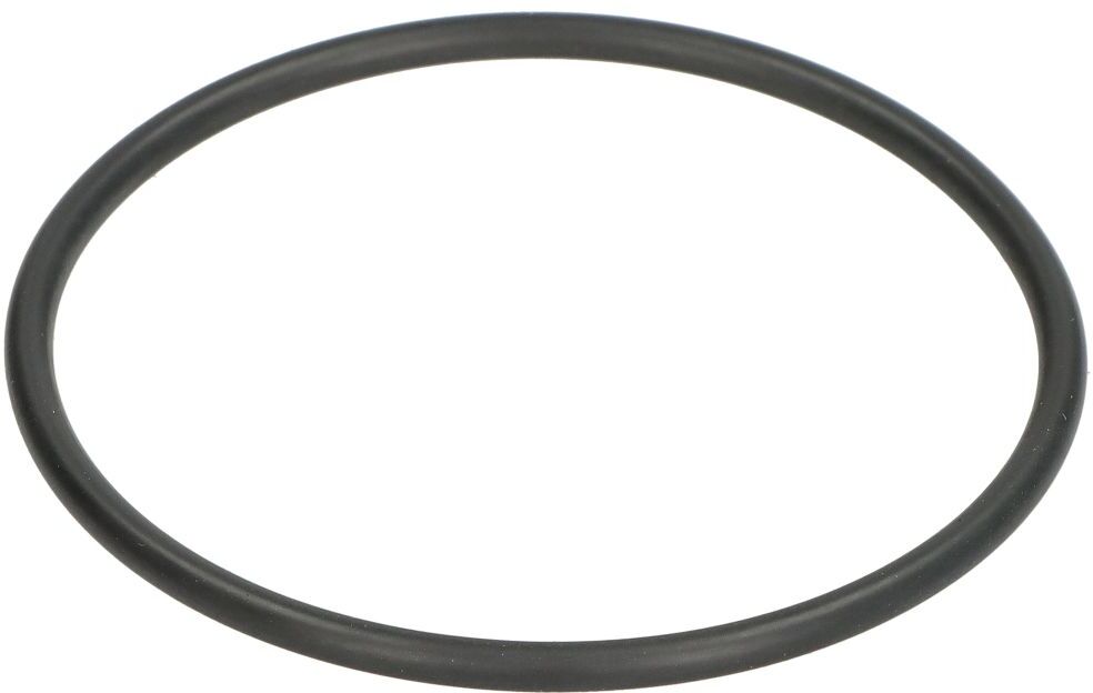 O-Ring LEMA LE103190