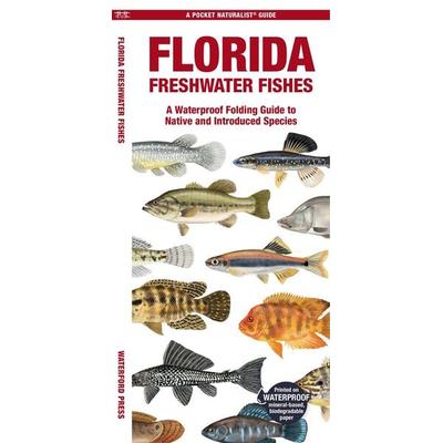 Florida Freshwater Fishes, Geheftet von Matthew Morris, Globe Pequot Publishing Group Inc, 978-1-62005-656-1