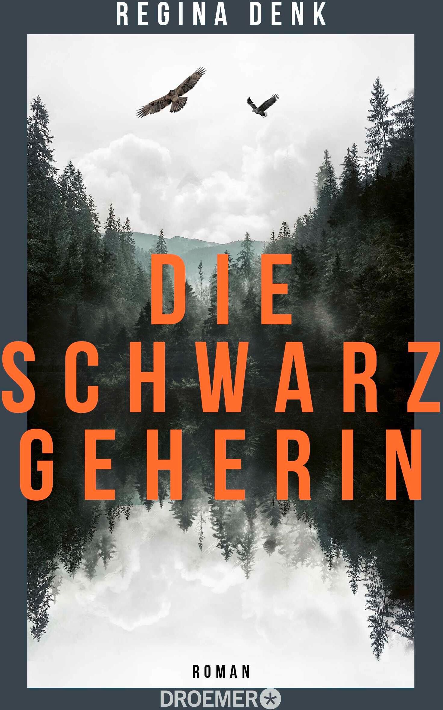 Regina Denk - Die Schwarzgeherin: Roman - Preis vom 06.10.2026 07:26:00 h