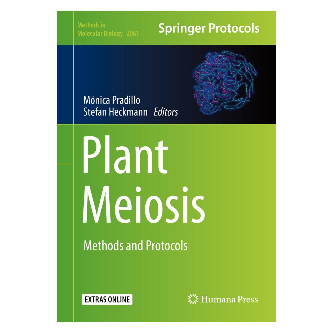 Springer Plant Meiosis (Englisch, Hardcover, Mónica Pradillo, Stefan Heckmann) (9781493998173)