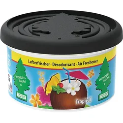Lufterfrischer Wunderbaum Duft Dose Tropical Duft Dose mit exotischem Duft