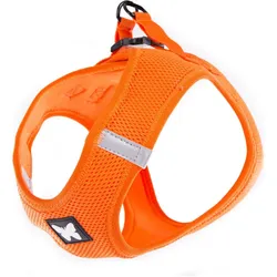 Martin Sellier Hunde-Geschirr aus Mesh (Hund, Spazieren), Halsband + Leine