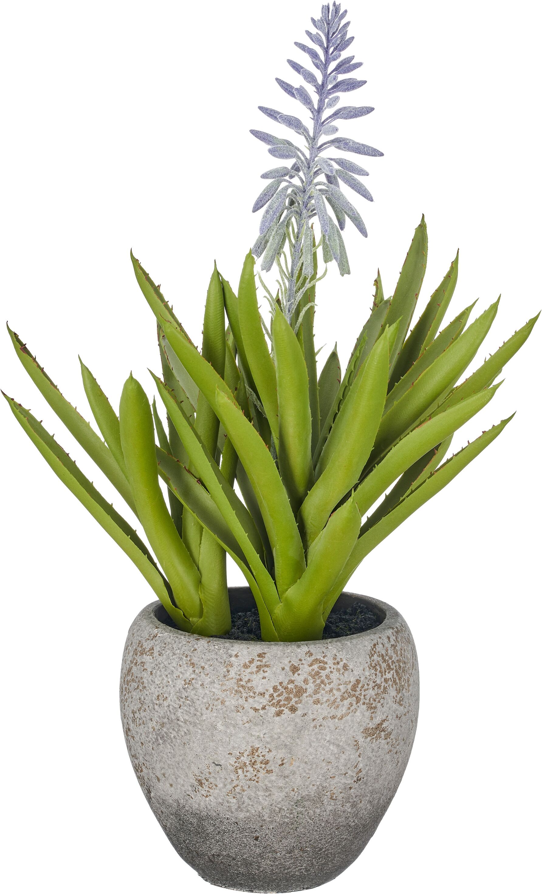 Kunstpflanze CREATIV GREEN "Aloe arborescens mit Blüte", grün, B:20cm H:38cm Ø:20cm, Obermaterial: 100% Kunststoff, Kunstpflanzen, Kunstpflanze, in naturgetreuer Gestaltung