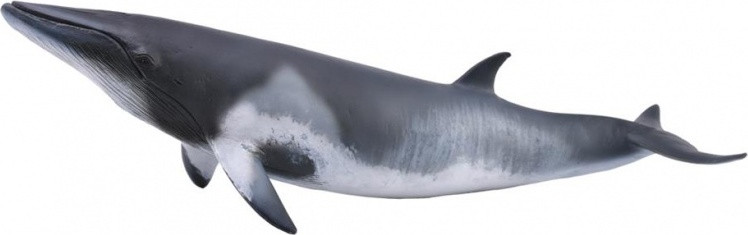 Collecta Dwergwalvis
