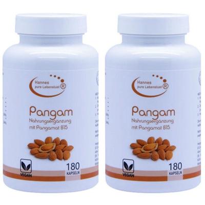 Pangam Vitamin B15 Vegi Kapseln 2x 2x180 St