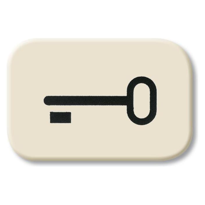 Busch-Jaeger Busch-Jäger Tastersymbol Schlüssel 2525 TR (2CKA001433A0440)