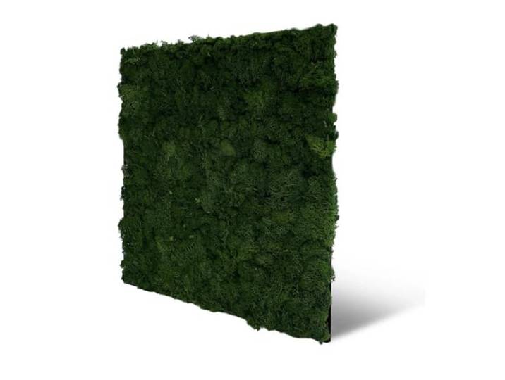 JANGAL Modular Wall Nature Moos Paneel (52 x 52 cm), Modulares Wandpaneel, mit recyceltem PET-Filz, zum Kleben oder Schrauben, Wandverkleidung, Wand Deko, Mooswand (Dark Green Moos)