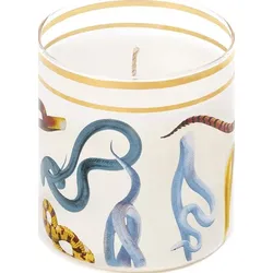 Toiletpaper Snakes Kerze aus Glas