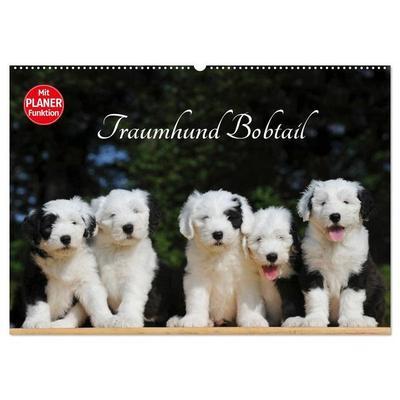 Traumhund Bobtail (Wandkalender 2027 DIN A2 quer), CALVENDO Monatskalender