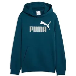 PUMA Kinder Freizeit / Mode Sommer GJ Kapuzensweats Kapuzensweats lg.Arm Ki ESS 2 COLOR No 1 Logo Hoodie FL B, Größe 128 in Blau Blau