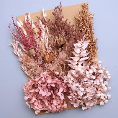 Botanical Narrative Elements High Definition Preserved Floral Materials style 2