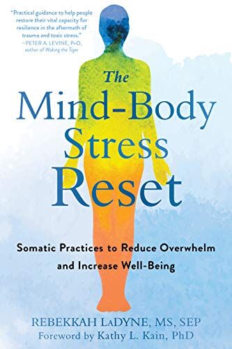 Rebekkah LaDyne - The Mind-Body Stress Reset: Somatic Practices to Reduce Overwhelm and Increase Well-Being - Preis vom 30.09.2026 09:01:18 h
