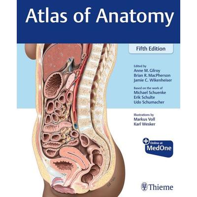 Atlas of Anatomy, Set von Anne M. Gilroy,Brian R. MacPherson,Jamie Wikenheiser,Michael Schuenke,Erik Schulte, Thieme Medical Publishers,