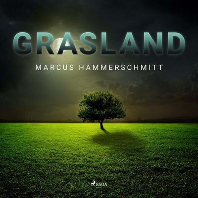 Grasland (Ungekürzt) - Marcus Hammerschmitt, Audio, 9788711969243