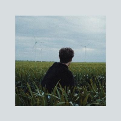 Gefährdete Arten - Hotel Rimini, Vinyl