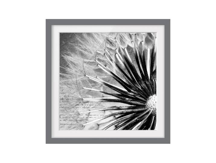 Tableau déco pissenlit noir et blanc III Pin massif, verni mat Blanc 30 x 30cm