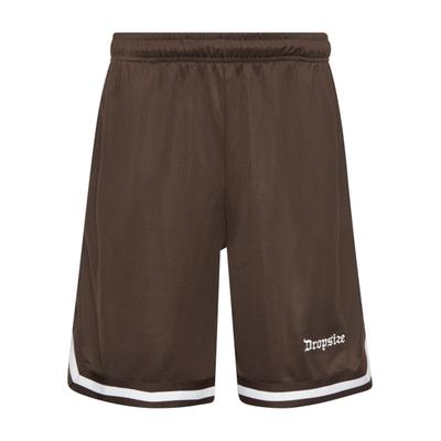 Dropsize "Dropsize Herren Dropsize Logo Mesh Shorts"