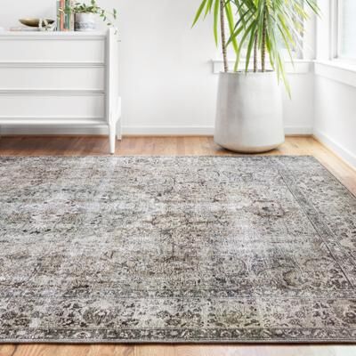 Alexander Home Isabelle Traditional Vintage Border Printed Area Rug