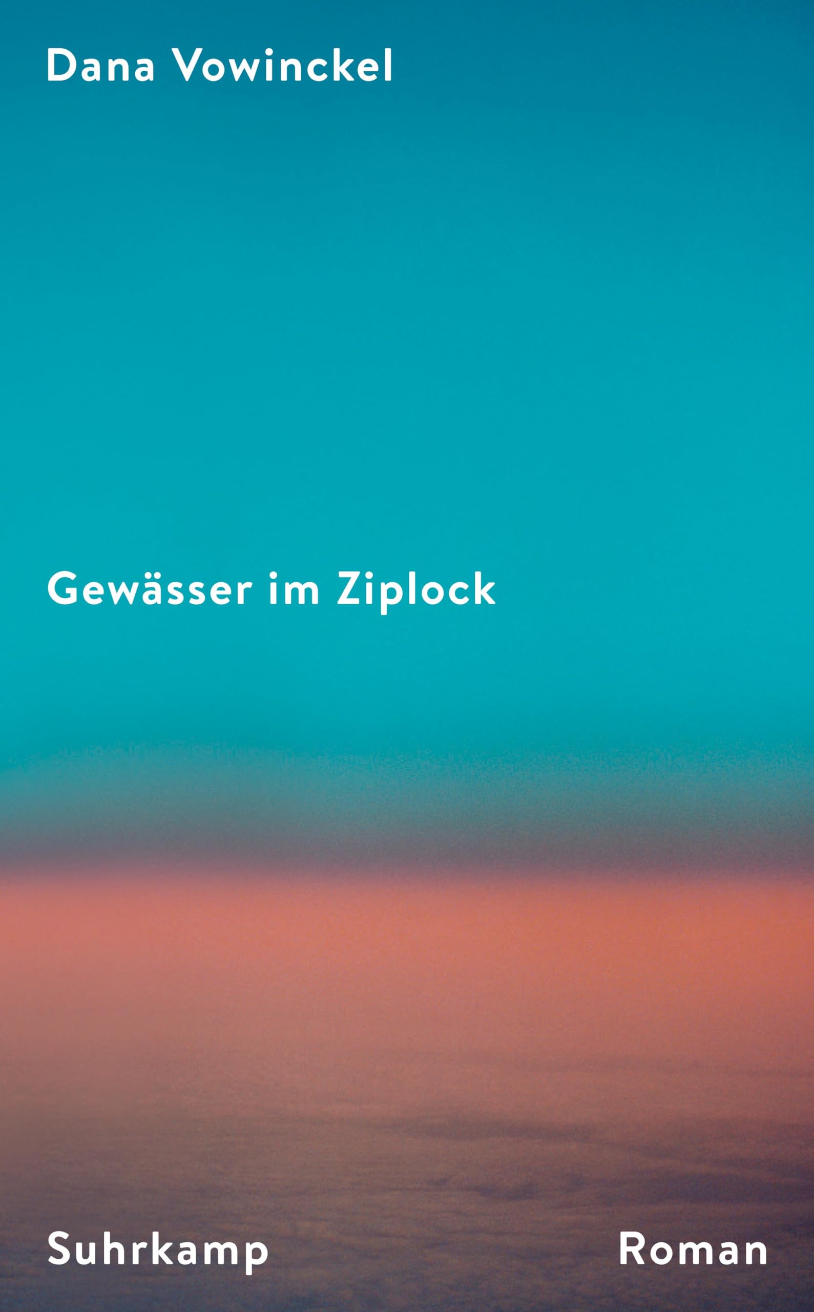 Dana Vowinckel - Gewässer im Ziplock: Roman Ein mitreißendes Porträt jüdischen Familienlebens heute - Preis vom 11.10.2026 03:10:56 h